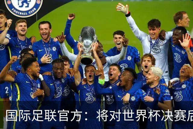 国际足联官方：将对世界杯决赛后两队冲突进行调查