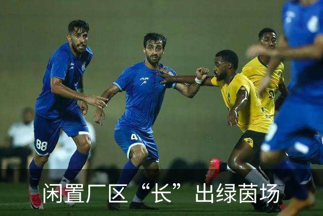 闲置厂区“长”出绿茵场